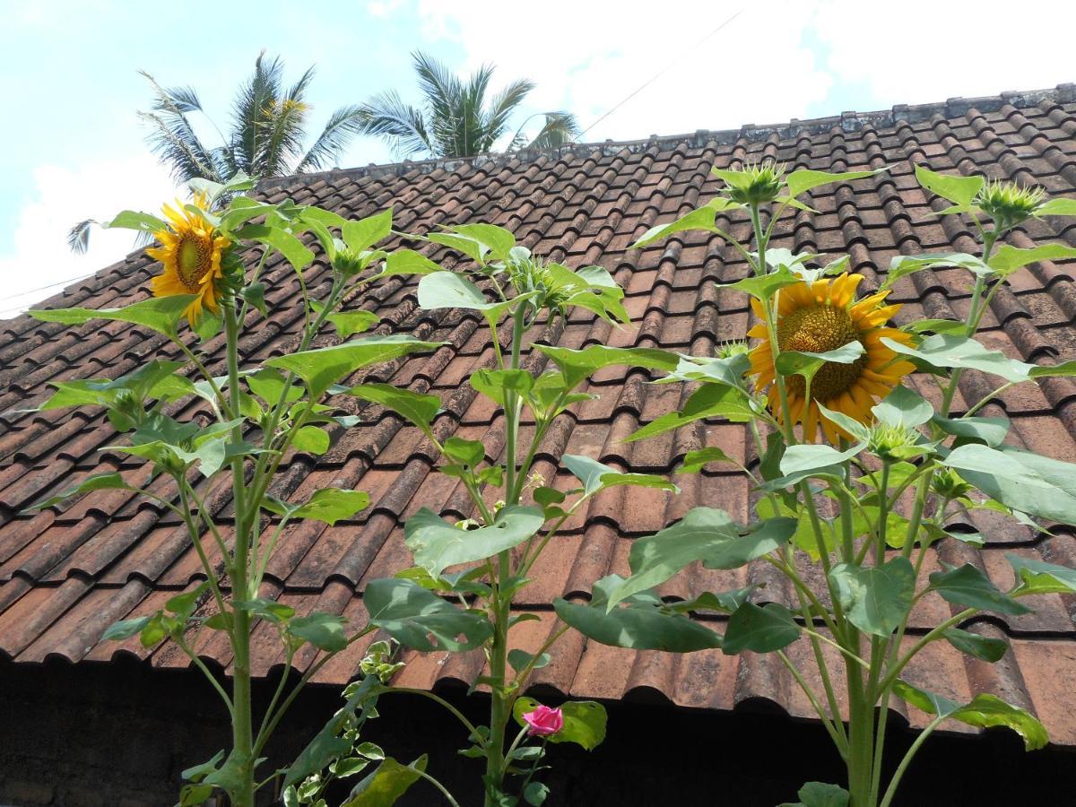 Ming Homestay Sidemen  Bagian luar foto