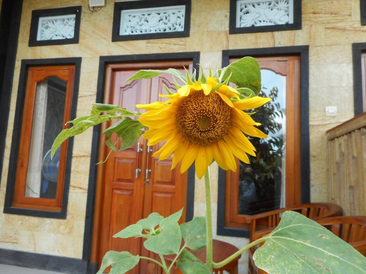 Ming Homestay Sidemen  Bagian luar foto